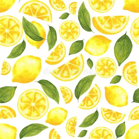 Insieme Dell Acquerello Dei Limoni Segmenti Del Limone Limone Succoso