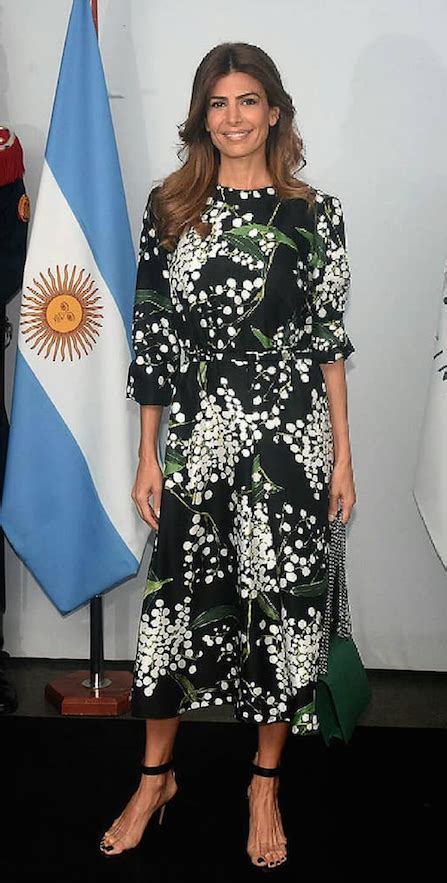 Los 10 Mejores Looks De Fiesta De Juliana Awada Como Primera Dama Para Ti