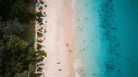 Premium Photo Aerial View Of Sandy Beach With Tourists Swimming