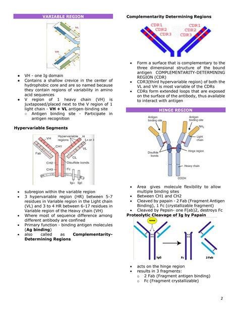 SOLUTION Biochemistry Immunoglobulins And The Complement System