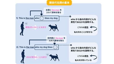 関係代名詞「whose」の使い方を丁寧に分かりやすく徹底解説！｜toeic100点upの礎