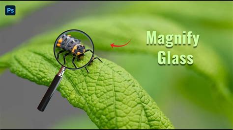 How To Create Magnify Glass Effect Photoshop Youtube