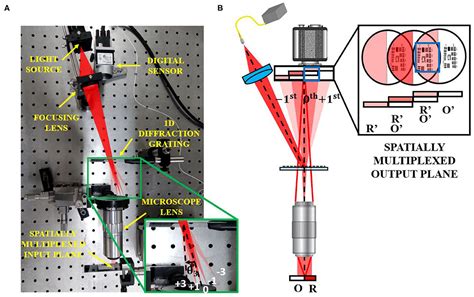 Frontiers Single Element Reflective Digital Holographic Microscopy