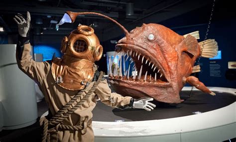 An Angler Fish Can Vary From 20 Cm 80 In To Over 1 M 3 Ft With