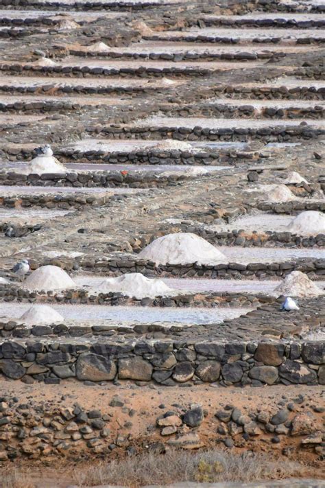 Sea salt drying pools 34215181 Stock Photo at Vecteezy