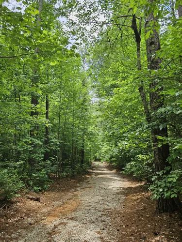 Best Wild Flowers Trails In Goochland Alltrails