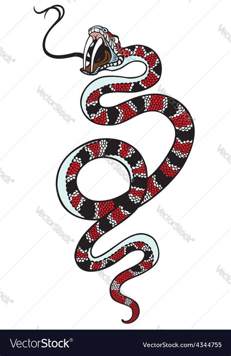 Snake Tattoo Royalty Free Vector Image VectorStock