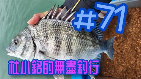 杜小銘的無盡釣行71 香港釣魚 釣魚 釣り 黑沙 磯釣 船釣 牛屎 黑鱲 船磯 Youtube