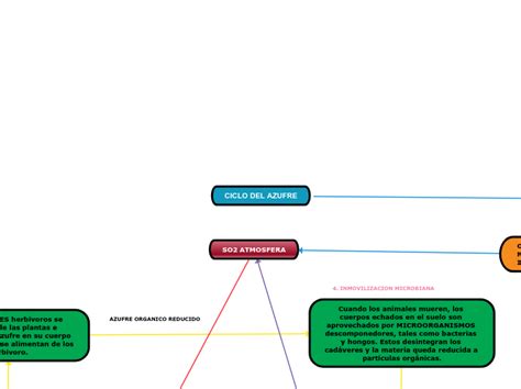 Ciclo Del Azufre Mind Map