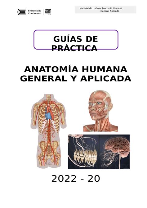 GUÍA DE Práctica Semana 1 - GUÍAS DE PRÁCTICA ANATOMÍA HUMANA GENERAL Y