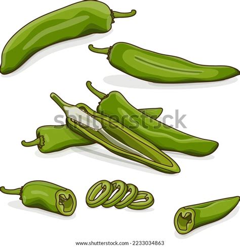 Whole Half Quarter Slices Wedges Green Stock Vector Royalty Free