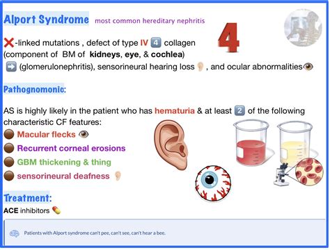 Alport Syndrome