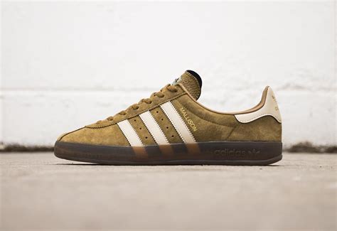 Gros Plan Sur La Adidas Côte Spezial Brown