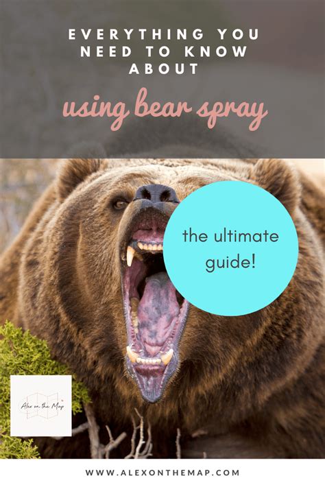 How to Use Bear Spray: Carrying and Deploying (2023) - Alex on the Map