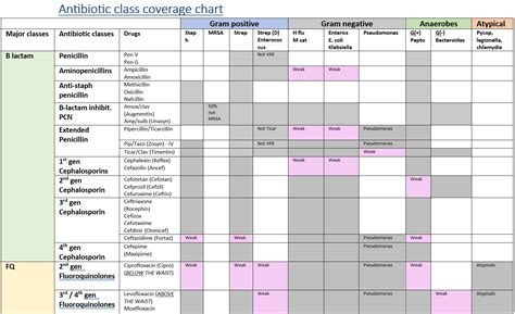 Antibiotic Coverage Chart Etsy