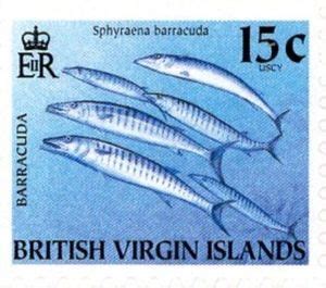 Great Barracuda Sphyraena Barracuda Game Fish Mi Vg