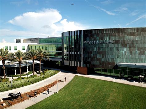 University Of South Florida Get Edu