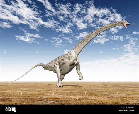 Dinosaurier diplodocus hi-res stock photography and images - Alamy