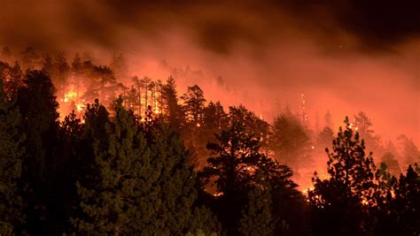 Scorched Earth U S Wildfires Near Record Level