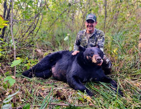 Bear Hunt | Page 2 | The Muzzleloading Forum