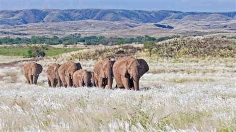 Glamping Familien Abenteuer In Namibia Familienreisen Namibia