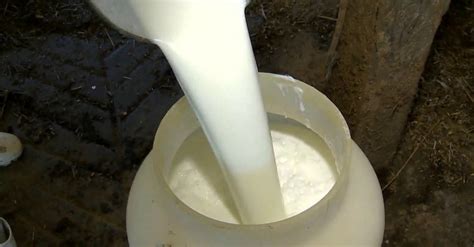 Una condición rara hace que la mujer produzca leche por la vagina después del parto
