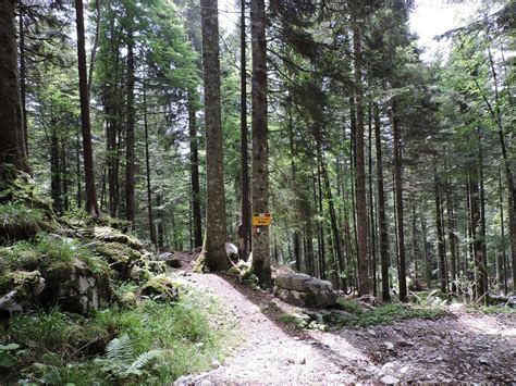 Monte Raitertal Zona Di Accampamento Dei Partigiani Nel Secondo