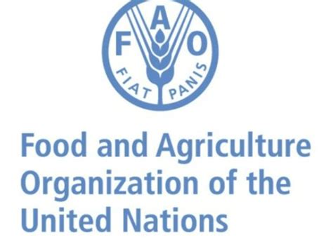 Marco Estratégico De La Fao 2022 2031 Para El Fortalecimiento De Los