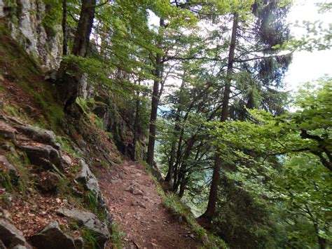 Felsenpfad Col De La Schlucht Frankenthal Le Hohneck Freiweg