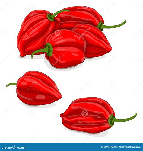 Group Of Red Habanero Cartoon Style Stock Vector Illustration Of