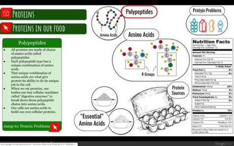 Biology Interactive Diagrams: Unit 2 Biochemistry by Science With Mrs Lau