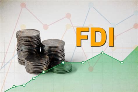 FDI là gì Đặc điểm và vai trò của FDI với nền kinh tế Việt Nam