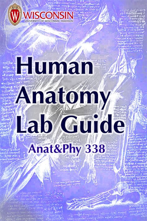 Virtual Human Anatomy Lab Manual Simple Book Publishing