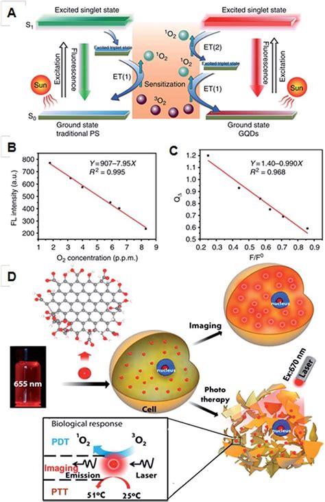 A Schematic Illustration Of 1 O 2 Generation Mechanisms By