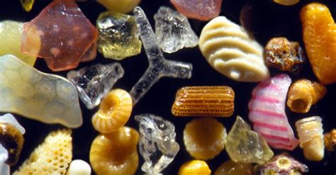 Magnified Photos Expose The Secret Beauty Of Sand Grains Grain Of