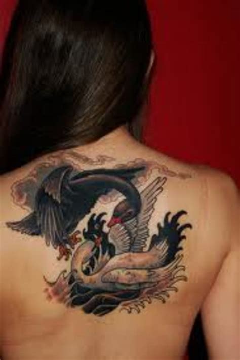 White And Black Swan Tattoos And History-Swan Tattoo Meanings-Swan ...