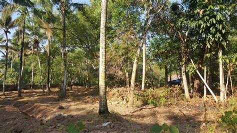 Residential Land Plot For Sale In Varkala Trivandrum Sq Yard