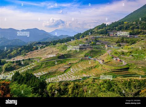 Terrasses de riz japonais à Maruyama-senmaida, Kumano, au Japon Photo ...