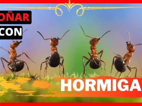 El Significado Espiritual de Soñar con Hormigas El Totem de la Hormiga