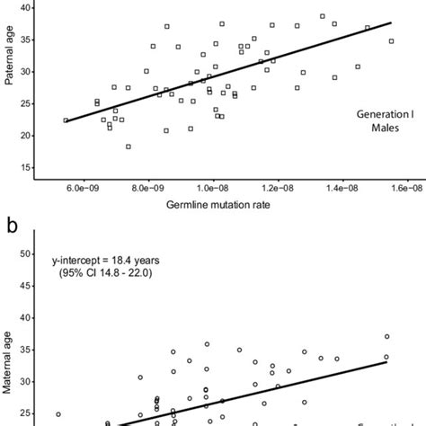 Estimating The Age When Germline Mutation Accumulation Rates Are