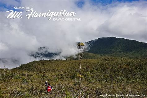 Mount Hamiguitan Trek: Summiting the Prized Mountain of Davao Oriental ...