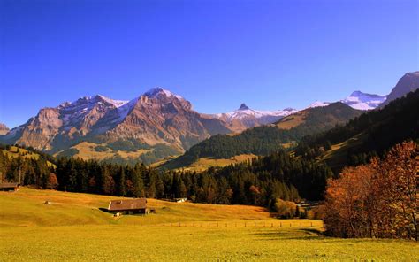 high resolution graphics