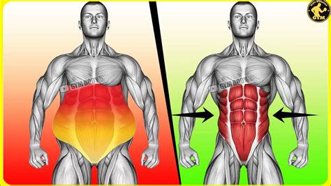 abs   weeks  packs workout  beginners  gym youtube