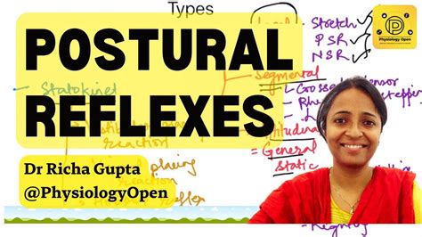 Postural Reflexes Physiology Righting Reflex Maintenance Of Muscle