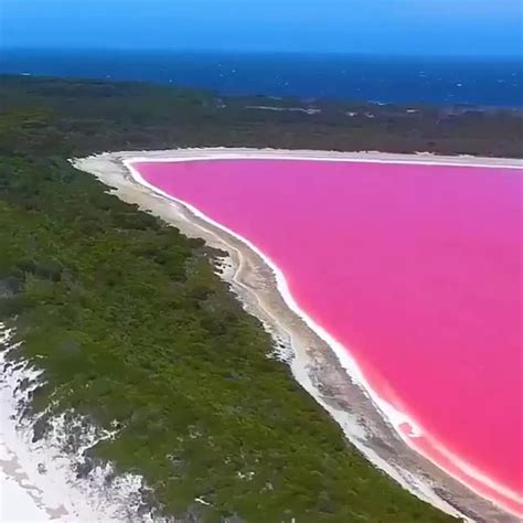 Lake Hillier a.k.a "Pink Lake", Middle - One News Page VIDEO