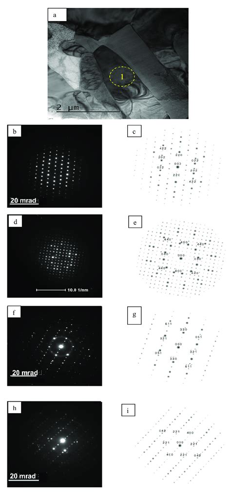 Tem Image Of Cross Section Of Precipitates In The Interdiffusion Layer