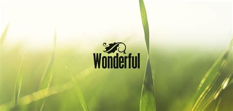 Wonderful - Now Available For License! | Tim McMorris