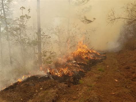 Emisoras Unidas Incendios Han Consumido M S De Cuatro Mil Hect Reas