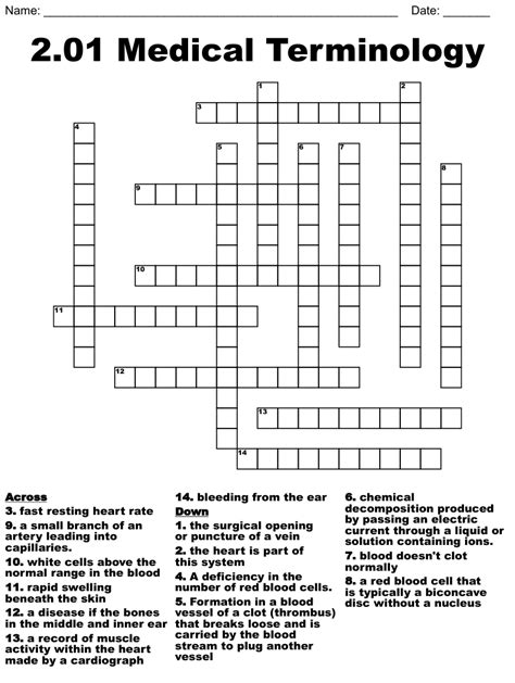 Medical Terminology Crossword Wordmint