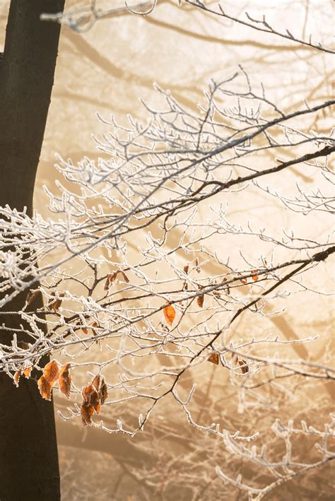 The 3 most common cold-weather claims & how to prevent them from